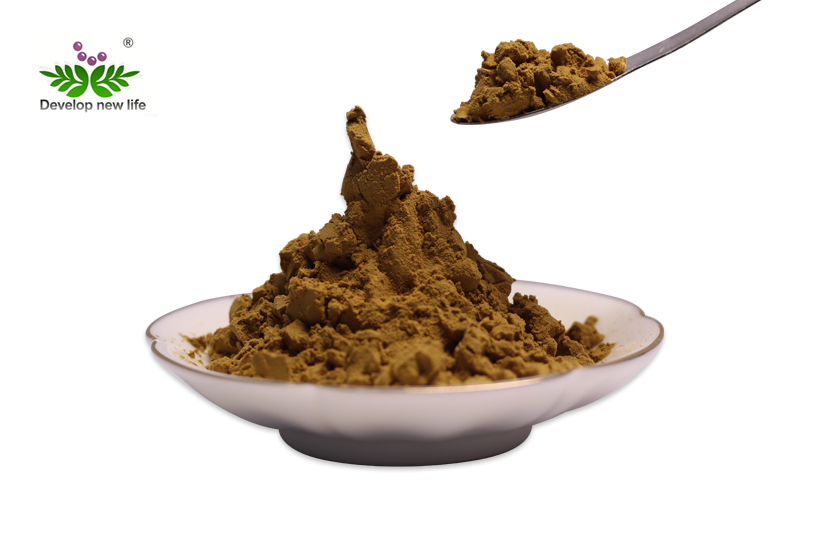 What is Andrographis Leaf Extract Powder? Benefits, Origin and Usage